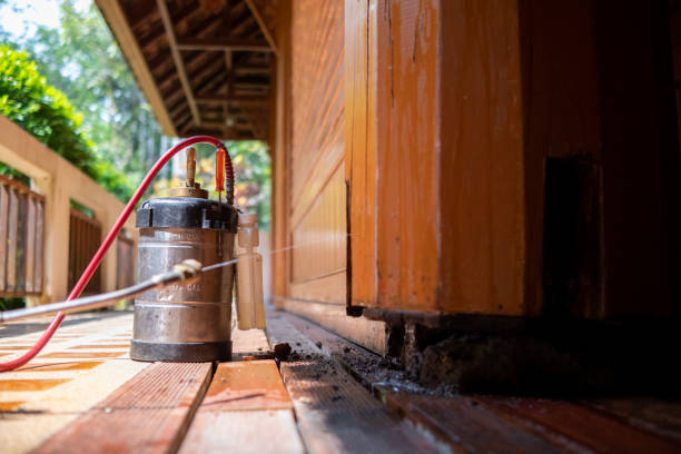 Best Pest Prevention Services  in Incline Village, NV